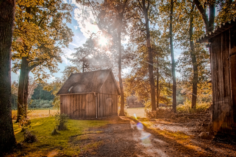 Wooden house in forest with sun setting through the trees, HDR image